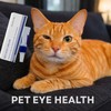 Pet Eye Cream for Cats, Dogs, Puppies, Kittens, Horses, Cattle,