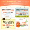 イヌリンの恵みPREMIUM ２袋 イヌリン 52,500mg 高配合 乳酸菌 ビフィズス菌 ナットウキナーゼ 酪酸菌 国内GMP認定工場生産