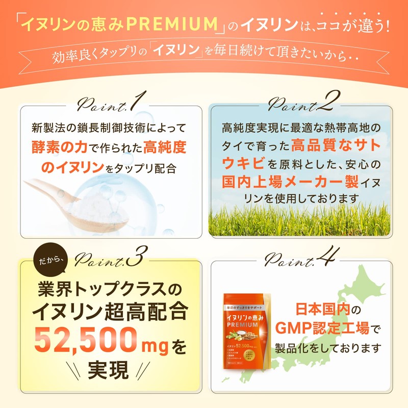 イヌリンの恵みPREMIUM ２袋 イヌリン 52,500mg 高配合 乳酸菌 ビフィズス菌 ナットウキナーゼ 酪酸菌 国内GMP認定工場生産