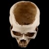 Modern Resin Skull Shaped Head Design Flower Pot Planter Container