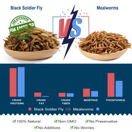 Non-GMO 22 lbs Black Soldier Fly for Chicken,High-Protein,Lrage Black Soldier Fly