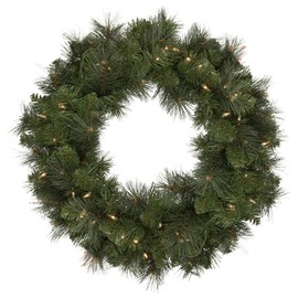 Northlight Mixed Beaver Pine Artificial Christmas Wreath Clear Lights, 24", Green
