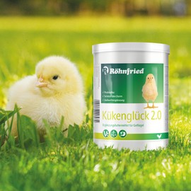 Röhn Fried Chicken Rearing Compound (550 g, Chick Feed Powder with Vitamins, Food for Chickens, Ducks, Geese, Truthühner & Poultry