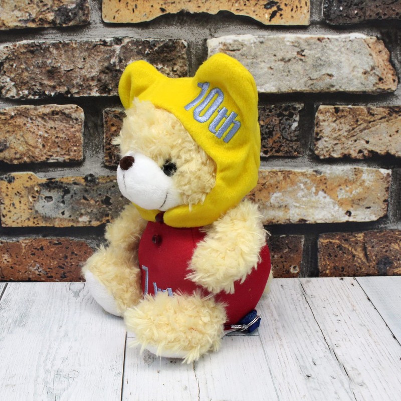 BEAR'S365 Birthday Bear Hat, Birthday Hat (10 Days)