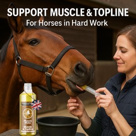 Freestep Muscle Mate – Horse Muscle Builder with Rice Bran Oil | 1200mg Gamma Oryzanol per 15ml | Supports Topline, Strength, Coat & Recovery