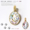 [Asakusa Bunko] Yuzen Dyeing Key Clip Cat Cat Pattern Shikunko