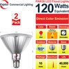 Explux Full Glass LED PAR38 Outdoor Flood Red Light Bulbs,