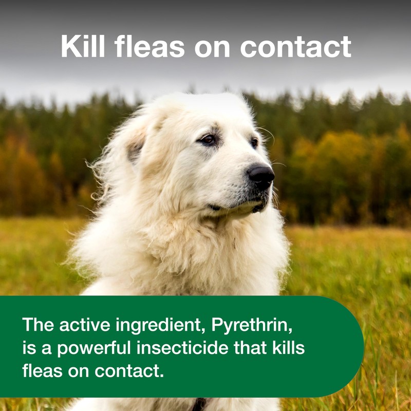 Advantage Dog Flea Treatment Spray | Kills Fleas & Ticks