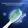 Toothbrush Replacement Whitening Heads Compatible with TAO Clean Sonic Electric