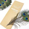 Piokio 50 pcs Peacock Feather in Bulk 10-12 inch(25-30 cm)