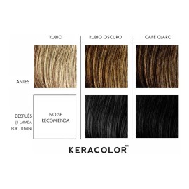 Acondicionador Depositador Color Kerachroma Onyx