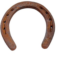 本物認定使用Horseshoe – Good Luck Charm – 素朴な – LuckyギフトFeng Shui