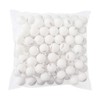 Homraku Table Tennis Balls Practice Game Ping Pong Balls Professional