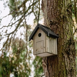 Peckish Wooden Bird Nest Box, Weatherproof, Durable, Eco-Friendly Design for Garden Birds, Easy Installation, Natural Wood, Suitable for a Variety of Bird Species, Year-Round Use