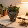 Youfui Elephant Planter for Succulents,Home Office Decor for Plant Lovers