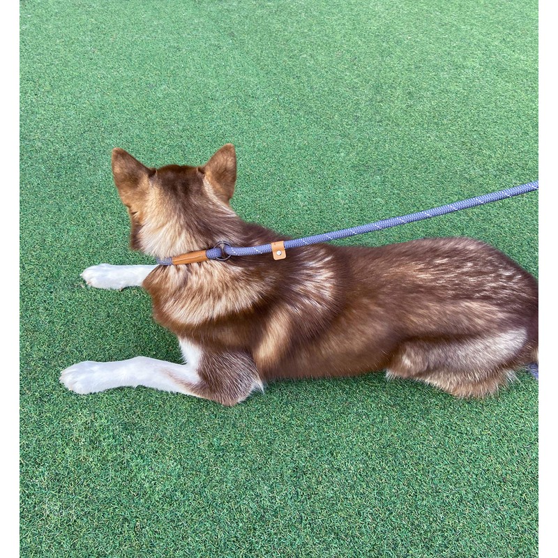 Dog Slip Leash Dog Leash, Reflective Rope Lead, Anti-Pull Lead,