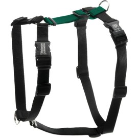 Blue-9 Buckle-Neck Balance Harness, Fully Customizable Fit No-Pull Harness, Ideal for Dog Training and Obedience, Made in The USA, Hunter Green, Small