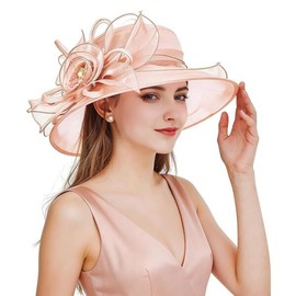 Z&X 오르간자 교회 파시네이터 웨딩 티 파티 더비 모자 여성용 플라워 와이드 브림 [Fascinator] [022 L Light Pink] Z&X Organza Church Fascinator Wedding Tea Party Derby Hat for Women Flower Wide Brim [Fascinator] [022 L Light Pink]