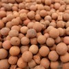 UK GROW Clay Pebbles 1L 2L 3L 4L 5L 6L