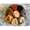 heidifeathers® 'Pets Mix' Carded Wool - Felting Wool Sliver -