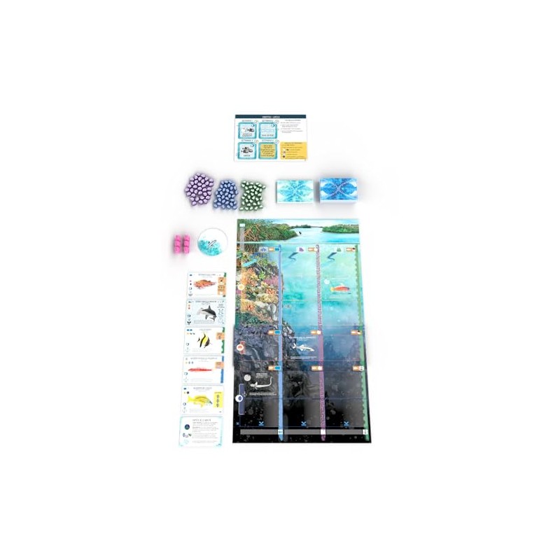 Finspan: Squali e Coralli - Gioco da Tavolo - Gioco