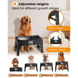 Elevated Slow Feeder Dog Bowls, Adjustable Raised Stand with Food Dish & No Spill Water Bowl Set, Neater Pet Feeding Station for Large Medium Small Breed Dogs