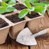 Relaxdays Propagation Pots Set of 24, Propagation Plates for 288