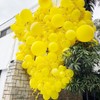 Unisun Yellow Balloons, 50Pcs 12 Inch Matte Yellow Balloons, Latex