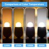 Sphoon G40 Low Wattage Led Bulb 1.5W Small Globe Edison