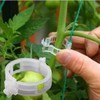 100Pcs White Plastic Trellis Clip Plants Support Clips, Tomato Clips,