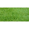 TLC Tall Fescue Grass Seed Blend (5 Lbs.)
