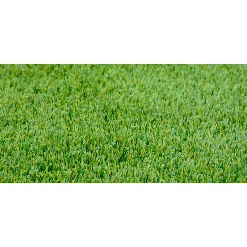 TLC Tall Fescue Grass Seed Blend (5 Lbs.)