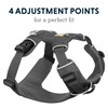Ruffwear All-Day Dog Front Range Harness, Grey (Twilight Grey), XS