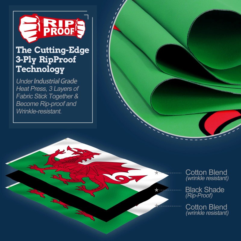 Anley Rip-Proof Double Sided 3-Ply Wales Flag 3x5 Ft Welsh