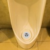2pcs Urinal Drain Cover Bathroom Urinal Filter White Urinal Strainer