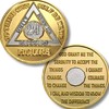 24 Hours AA Medallion 22K Bi-Plate Gold Plated Premium Serenity