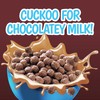 Cocoa Puffs Breakfast Cereal Bag, 32 oz
