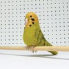 Bergin & Bath Needle Felting kit Budgie. Make a Green