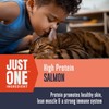 Whole Life Cat Just One Salmon Freeze Dried Cat Treats