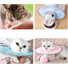 1Pc Dog Neck Cone Collar, Cat Recovery Collar Adjustable Cat