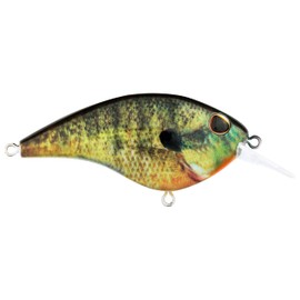 Frittside HD Bluegill 5 (1/3oz)