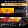 Kōfuku no Mori Turmeric Ornithine Royal Jelly Liver Extract Supplement,