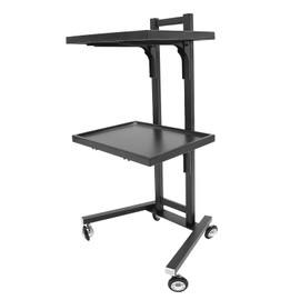 Salon Tray on Wheels, 2 Tier Foldable Salon Trolley Cart, Stainless Steel Rolling Tray, Storage Cart for Bathroom, Bedroom, Tattoo Shop (Black)