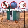 XiHaKey Heavy Duty Bird Netting 10x30Ft – Chicken Netting &