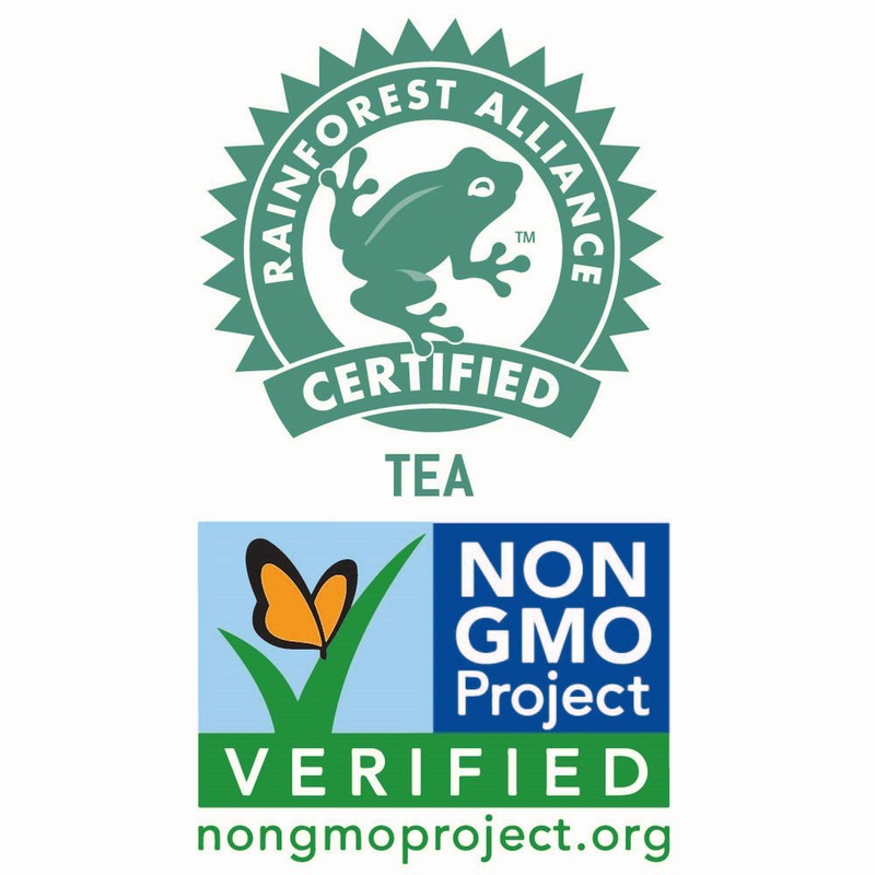 Tejava Unsweetened Peach Iced Tea, 16.9 Ounce PET Bottles, Natural,