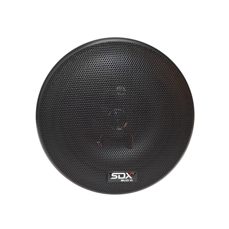 SDX Audio Digital Radio Receiver and Music Player with 6.5”