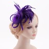 DRESHOW Fascinator Hats for Women Pillbox Hat with Veil Headband