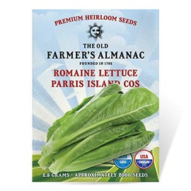 The Old Farmer's Almanac Heirloom Romaine Lettuce Seeds (Parris Island Cos) - Approx 2000 Seeds