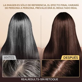 Dark Brown Hair Dye Shampoo 3 in 1, Shampoo para Canas con Tinte, Champú para Teñir el Cabello Marrón Oscuro, Cobertura de Canas con Ingredientes Herb