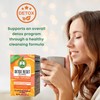 Dr. Tea Detox Reset Tea with Cinnamon - Orange Flavor